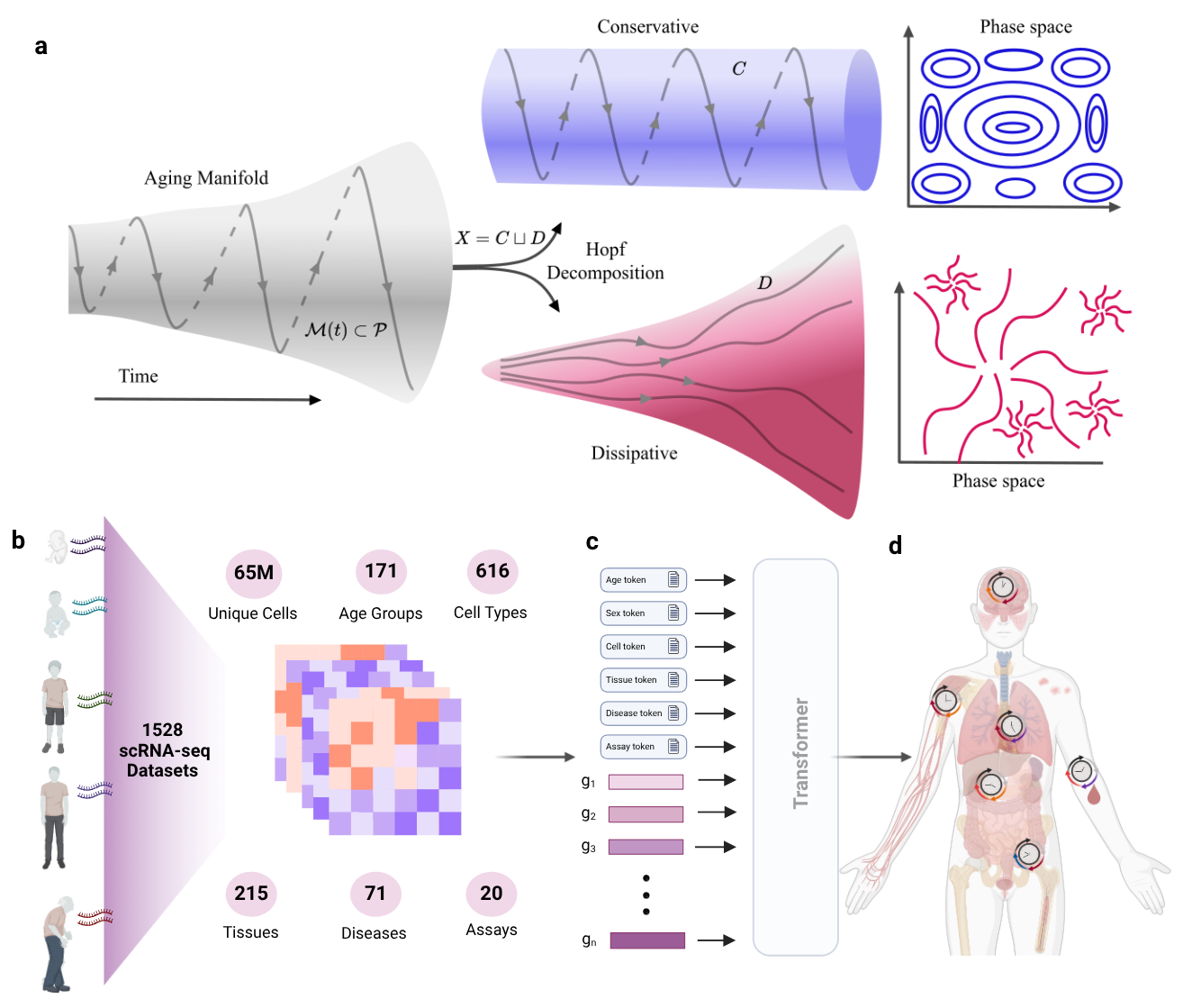 Dissipation Theory of Aging Framework