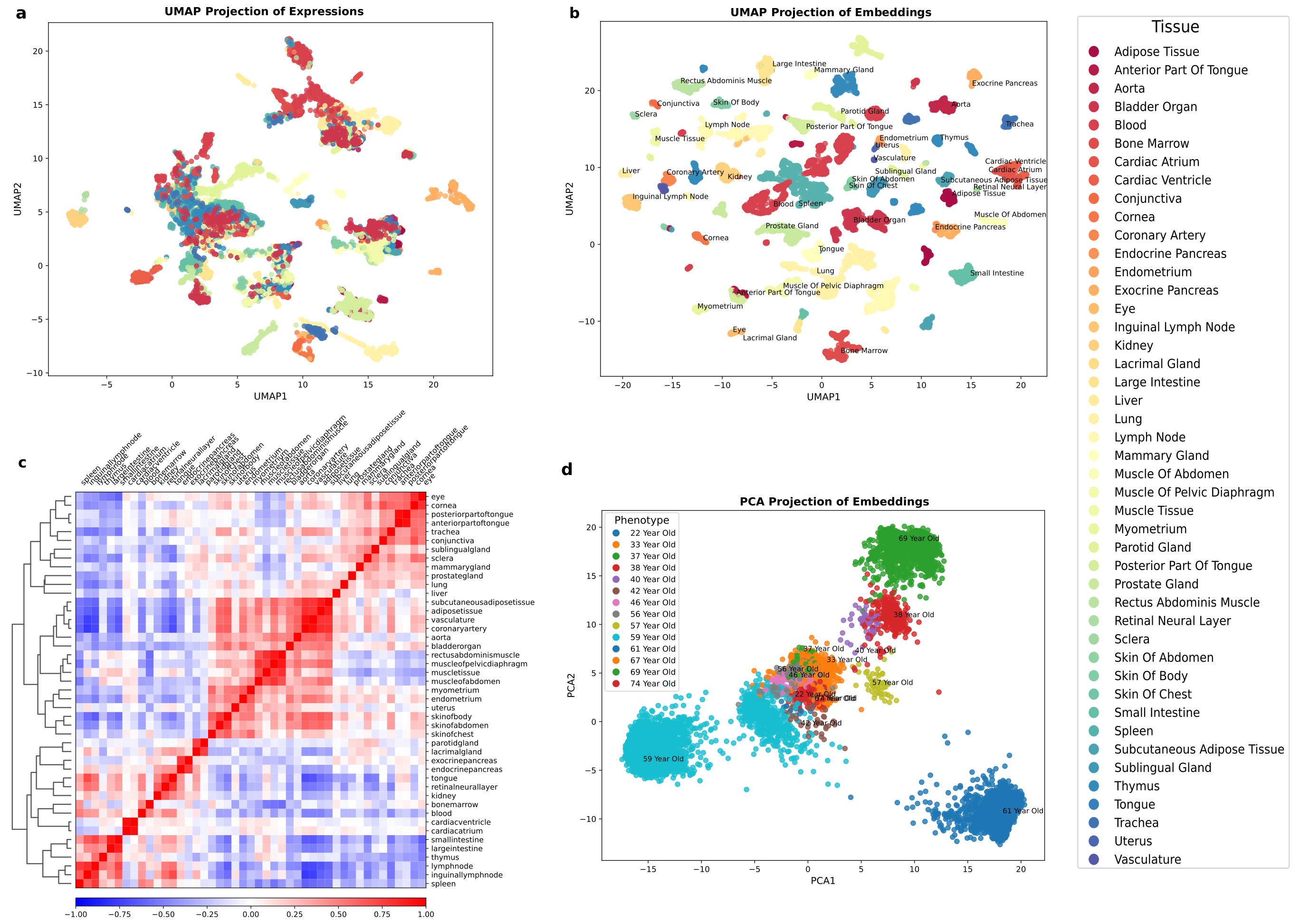 Figure 2: Resolving heterogeneity through contextualized embeddings
